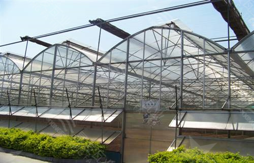 广州农科院温室大棚-采光瓦PVC瓦工程案例